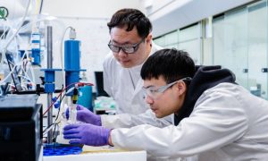 Chinese Scientists, CO2, Powerful, Cancer, Compound, Qingdao Agricultural University, Shandong, Lycopene