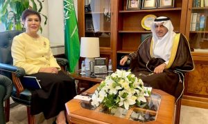 Saudi Arabia, Iraq, Ambassadors, Riyadh,