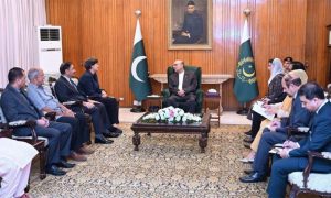 Pakistan's President, Asif Ali Zardari, Abdul Qadeer Khan Hospital Trust, medical care,