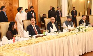 Pakistan, Pakistan’s President, Asif Ali Zardari, parliamentary democracy, political stability, national development,