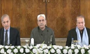 Pakistan, Palestinian Cause, Gaza, Palestine, Gaza, Islamabad, Prime Minister, Shehbaz Sharif, President, Asif Ali Zardari, All Parties Conference, Maulana Fazlur Rehman
