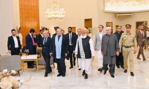 Pakistan, all-party conference, solidarity, Palestinians, Gaza war, Prime Minister Shehbaz Sharif, President Asif Ali Zardari, President House, Two-State Solution