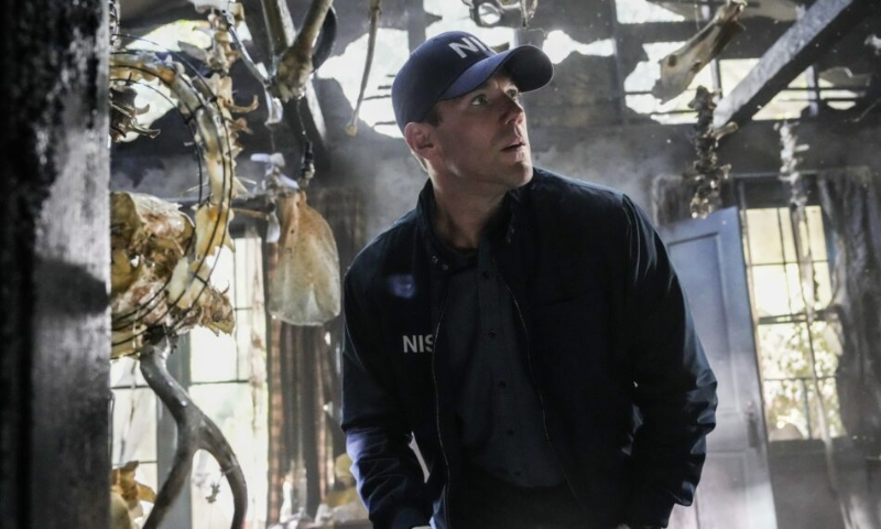 Austin Stowell, Expresses, Emotion, Role, Jethro Gibbs, NCIS: Origins