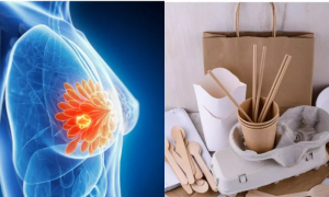 Chemicals, Used, Food, Packaging, Cancer, Study