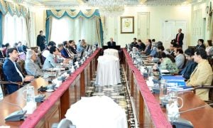 Pakistan, Federal Cabinet, Prime Minister's Relief Fund, Palestine, Lebanon, Israel, State Bank, Ahsan Iqbal,