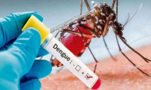 Health Department Reports 141 New Dengue Cases Across Punjab