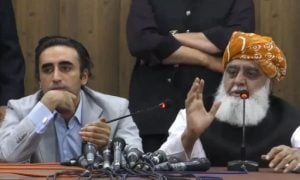 Maulana Fazlur Rehman, Pakistan Peoples Party, PPP, Chairman Bilawal Bhutto, Jamiat Ulema-e-Islam Fazl, JUI-F, constitutional amendments, PTI,