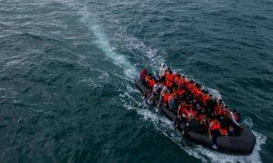 migrant, Hardelot, northern France, North Sea,