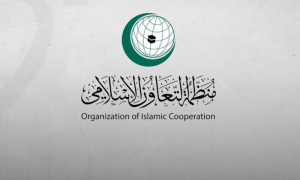 OIC, Israel, Gaza, Tulkarem, United Nations, UN Security Council, War Crimes