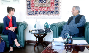 Pakistans Law Minister Swedish Envoy Review Bilateral Ties