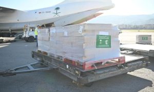 Saudi Relief Plane