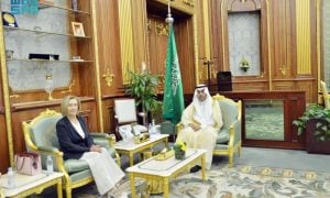 Saudi Arabia, Saudi Shura Council, Armed Forces Committee, French, Vice President, Senator,