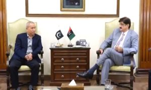 Sindh Chief Minister, Murad Ali Shah, investment, Chinese firms, Wan Xiaowu, Belt & Road, Chinese investments, Karachi, sewerage system,