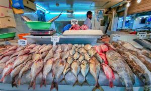 Ministry of Environment, Saudi Arabia, fish farming sector, production, fish, saltwater, inland waters, fisheries, Red Sea, Arabian Gulf