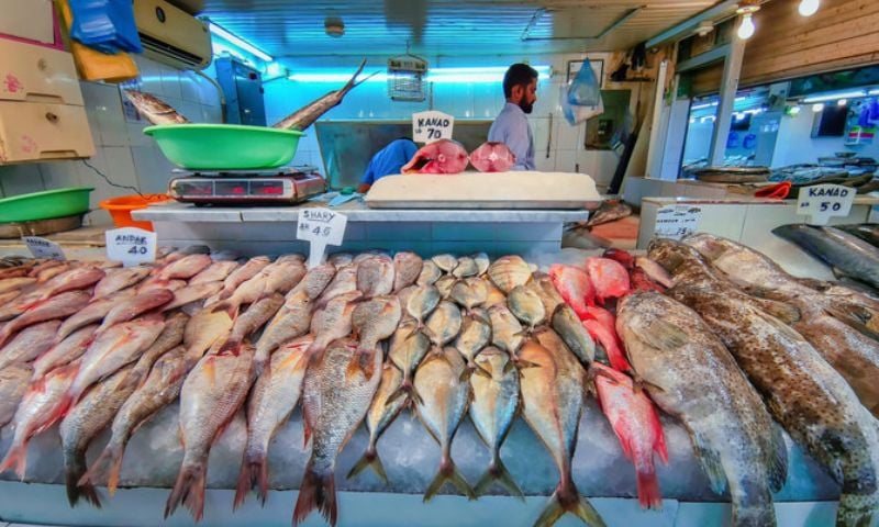 Ministry of Environment, Saudi Arabia, fish farming sector, production, fish, saltwater, inland waters, fisheries, Red Sea, Arabian Gulf