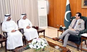 Syed Yousaf Raza Gilani, Pakistan, UAE, UAE Ambassador, Hamad Obaid Ibrahim Salem Al-Zaabi, Aiwan-e-Sadr, bilateral cooperation, Information Technology, renewable energy,