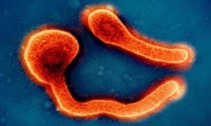 US, travel advisory, American citizens, Rwanda, Marburg virus, travel, Ebola,