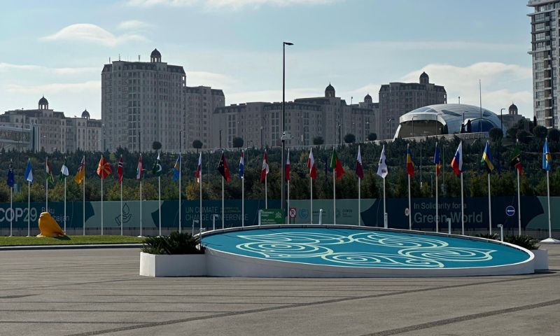 COP29, Greenpeace, Azerbaijan,