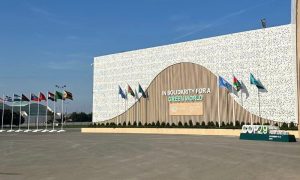 climate finance, COP29, global climate crisis,