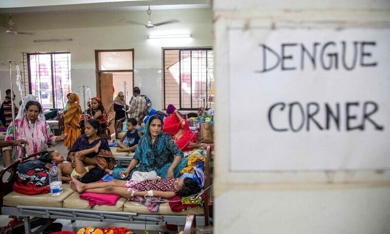 Health Ministry, World Health Organisation, Dengue,