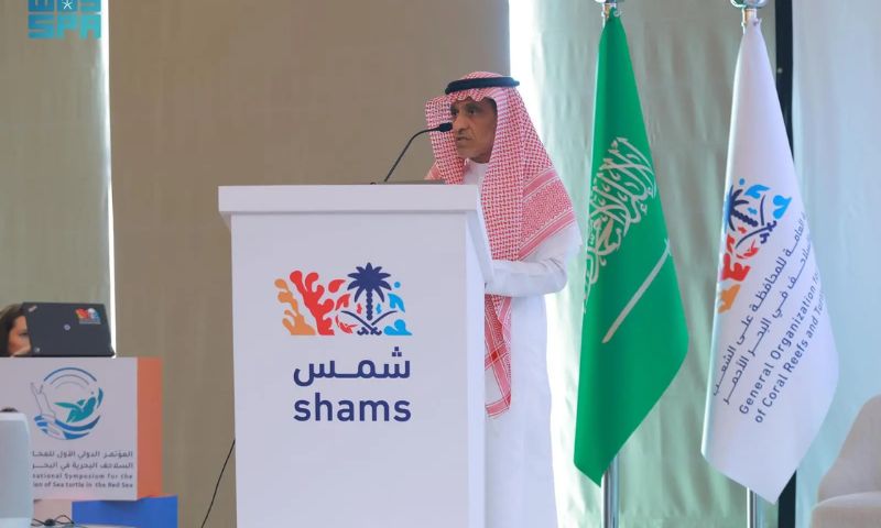 Red Sea Turtles, Red Sea Turtles, Conservation of Coral Reefs, SHAMS,