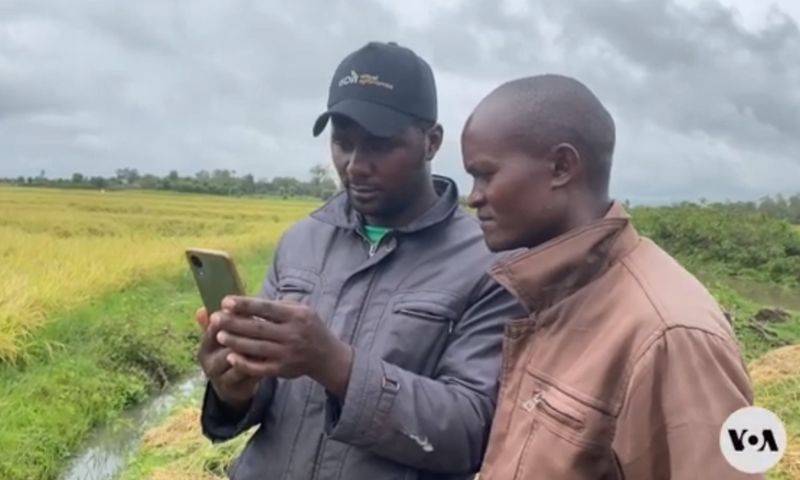 Kenya