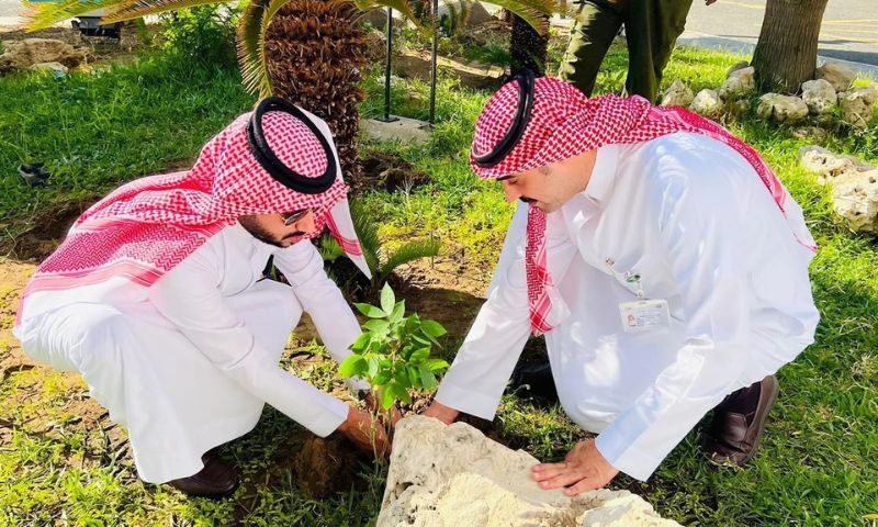 Makkah Region, National Greening Season 2024,