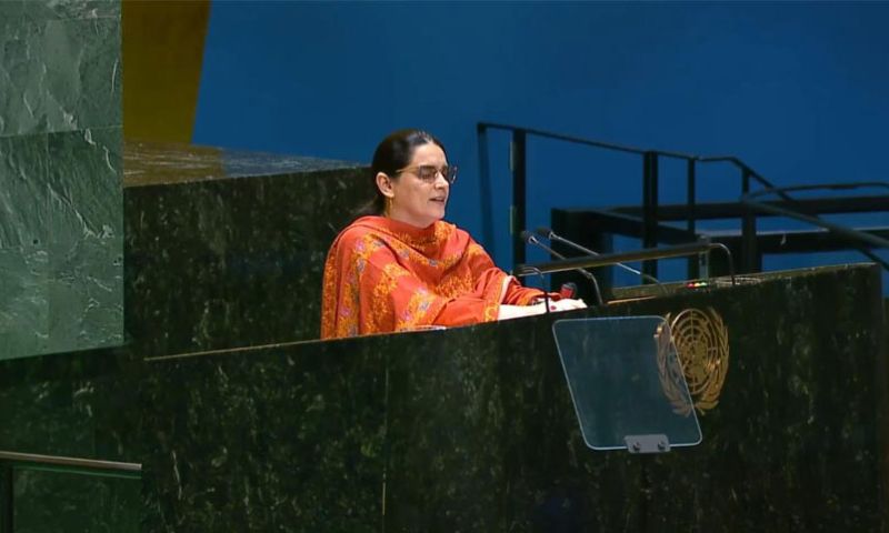 Pakistan, UN's Rights Body, Address Miseries, 'Disputed Territories'