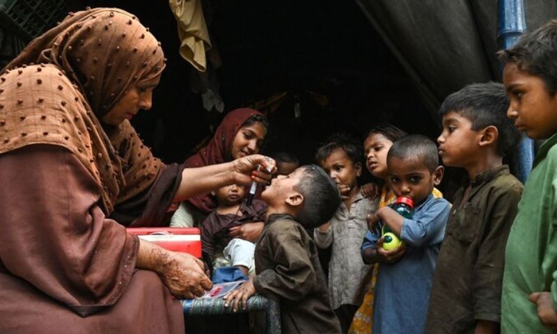 Polio cases in Pakistan, Dera Ismail Khan, Zhob, Polio case, Pakistan,