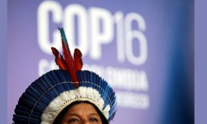Indigenous Peoples, UN, Global biodiversity