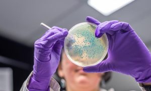 Study, Bacteria, Bowel Cancer, Scientists, University of Birmingham, University of Glasgow, Salmonella, UK