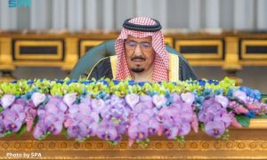 Saudi Arabia, cabinet, Gaza, Palestine, Extraordinary Arab and Islamic Summit, G20,