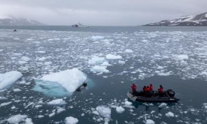 Melting, Sea Ice, Antarctica, Ocean Storms, Scientists, Earth, Carbon Dioxide, Antarctic sea