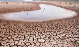 COP16, Global Land, Saudi Arabia, Riyadh, Desertification, UNCCD, Climate