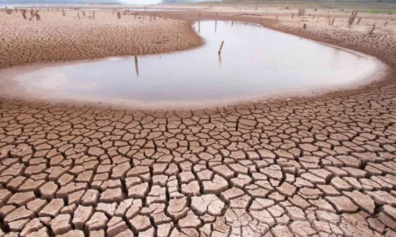 COP16, Global Land, Saudi Arabia, Riyadh, Desertification, UNCCD, Climate