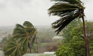 Cyclone Chido, Mozambique, Mayotte, French, Cyclone, Cabo Delgado