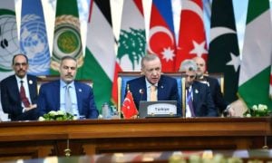 Israel, D-8 Summit, Cairo, Turkey, Erdogan, Gaza, Palestinian, Syria, Lebanon, Egypt, UN