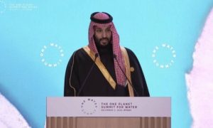 Saudi Arabia, Crown Prince, One Water Summit, France