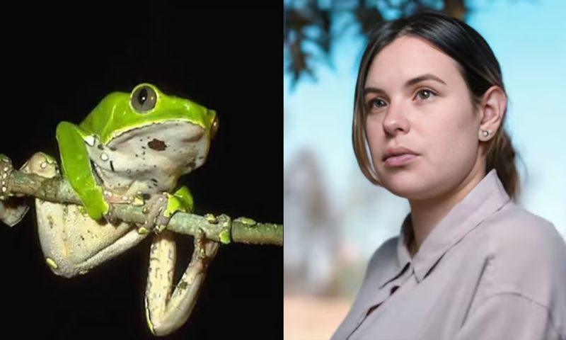 Mexican Actress, Marcela Alcazar Rodriguez, Frog Venom