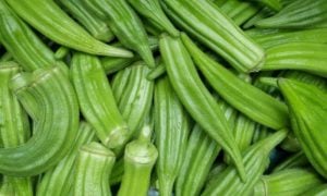 Okra