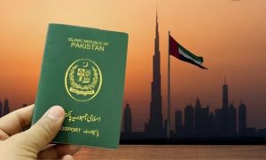Pakistan, UAE Visas Restrictions, UAE, Visas, Labour, Workers, Employment Visas, Parliament