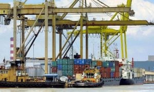 exports, Pakistan, agriculture, positive growth