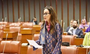 Pakistan's Senate, Resolution, Middle East, War Crimes, Israel, Lebanon, Syria, Gaza