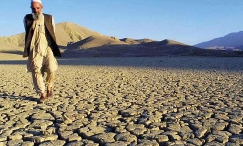UN, Riyadh, COP16, UNCCD
