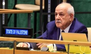 UN General Assembly Pushes for Palestinian State