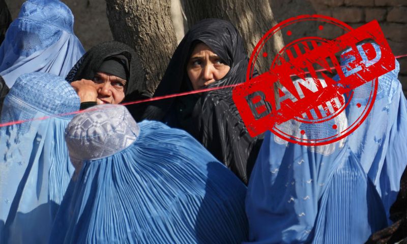 UN, Taliban, NGOs, United Nations, Afghanistan,