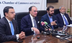 Pakistan, Private Sector, Finance Minister,