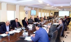 Pakistan, Remittances, State Bank of Pakistan, Finance Minister, Roshan Digital Account, ECC, IMF