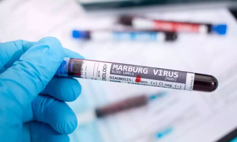 WHO, Rwanda, Marburg Virus, Ebola, UN,