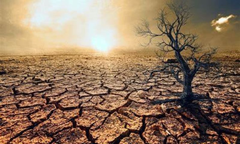 Drought Deal, Deal, UN, Talks, Riyadh, Saudi Arabia, Climate Change